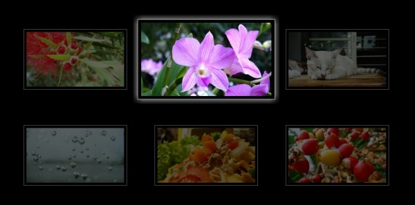 image-hover