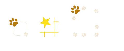 CSS3 Border Images for Beautiful